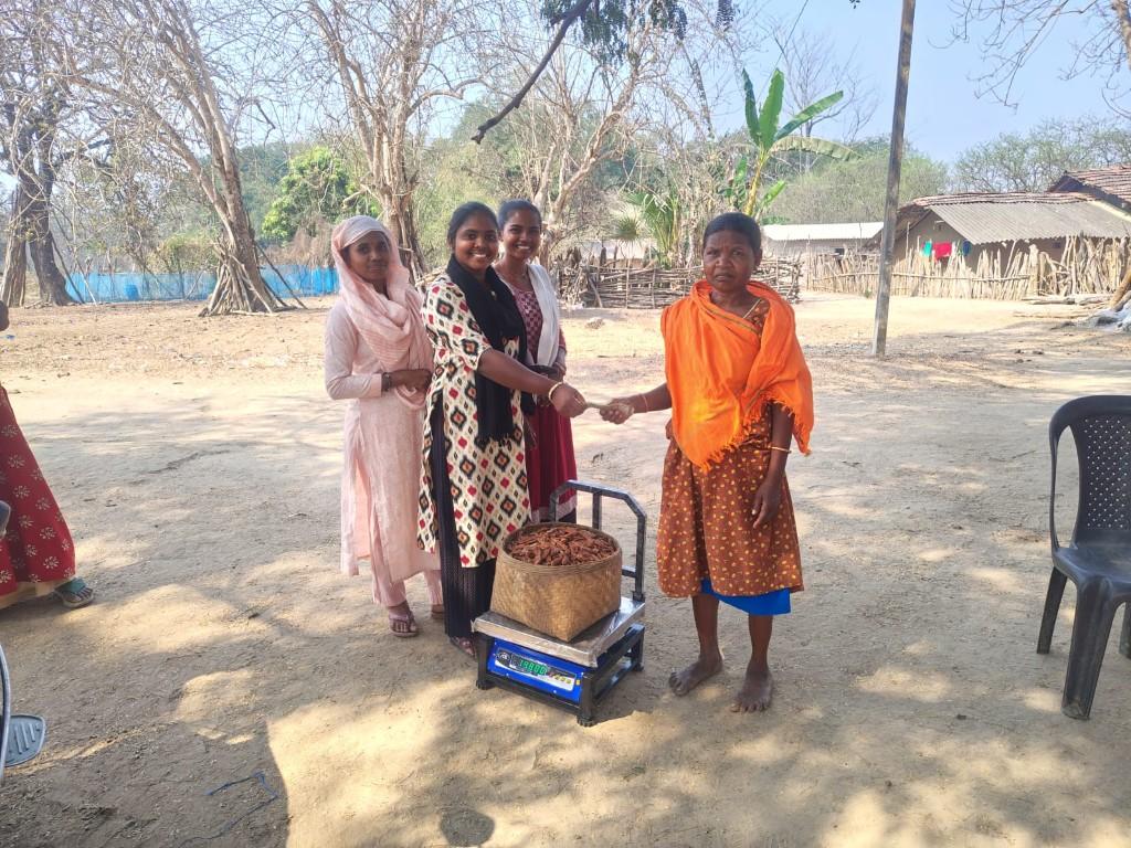 Bastar forest landscape — tribal sourcing region for Chhattisgarh tamarind