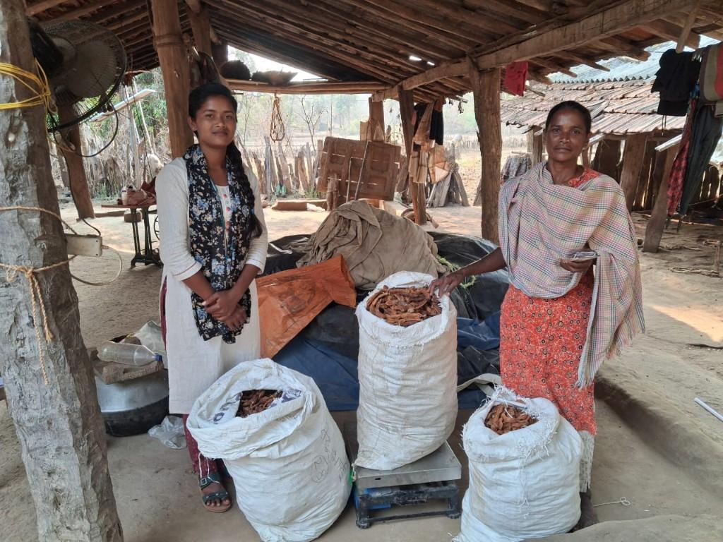 Chhattisgarh tamarind collection — FPO sacks on scale with tribal sourcing payment, Bastar